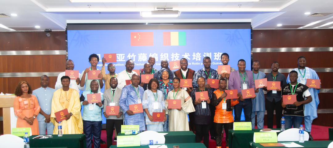 FOMATION EN REPUBLIQUE POPULAIRE DE CHINE SUR LA TECHNIQUE DE TRAISSAGE DE BAMBOU ET ROTIN
